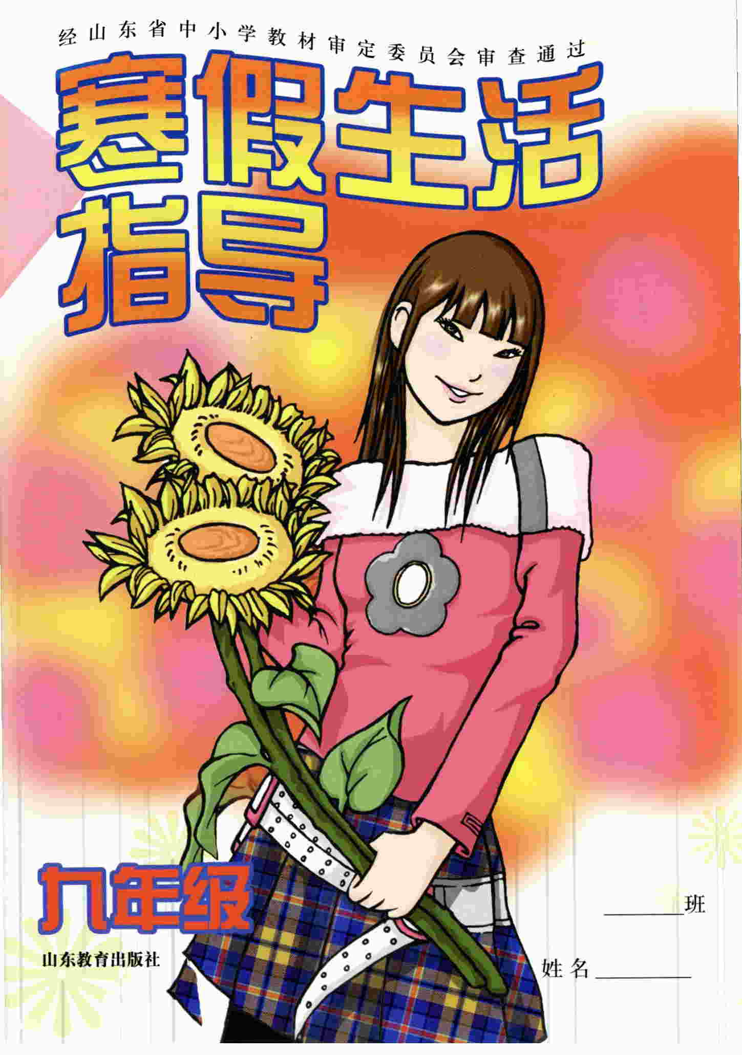 寒假生活指导六三  九年级